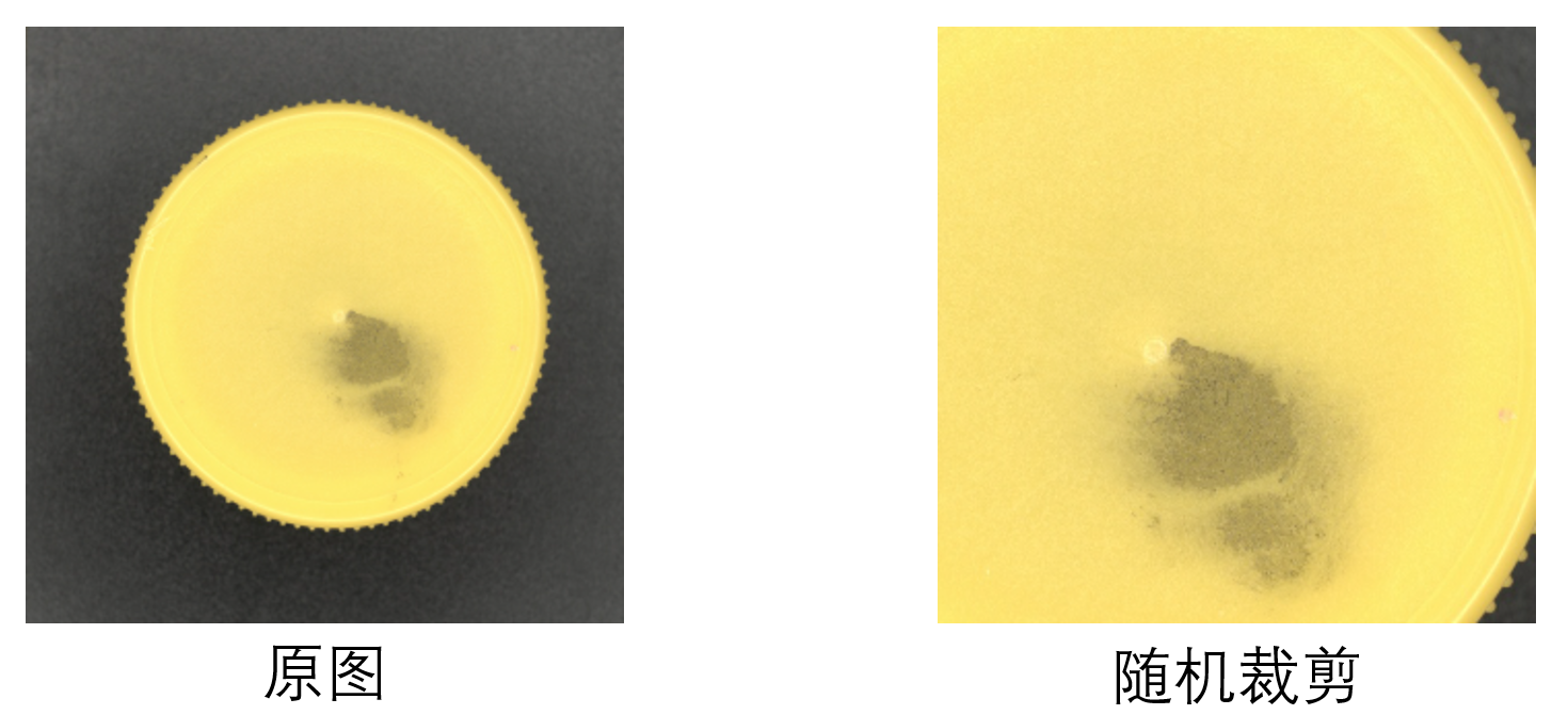 image-8.png