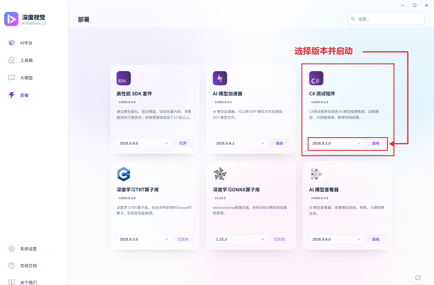 在部署页面启动 C# 测试程序