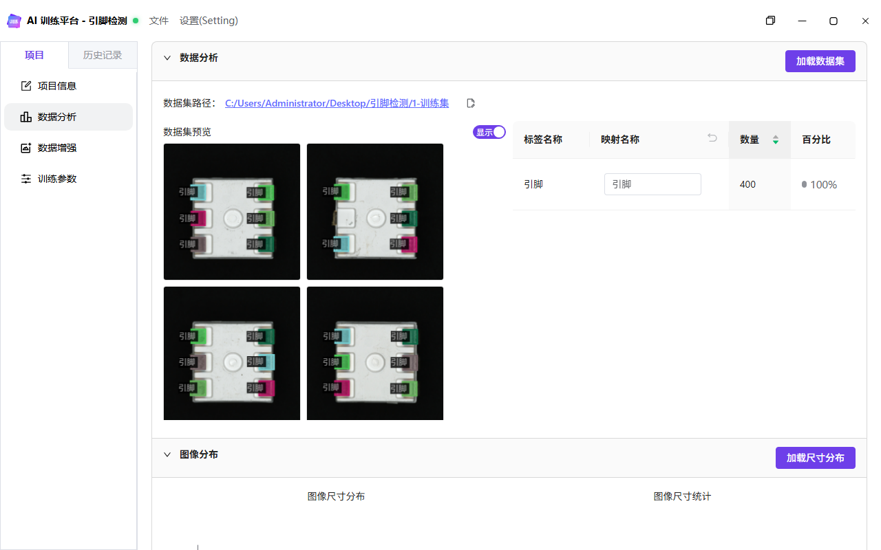 显示标注后的数据集预览和类别统计