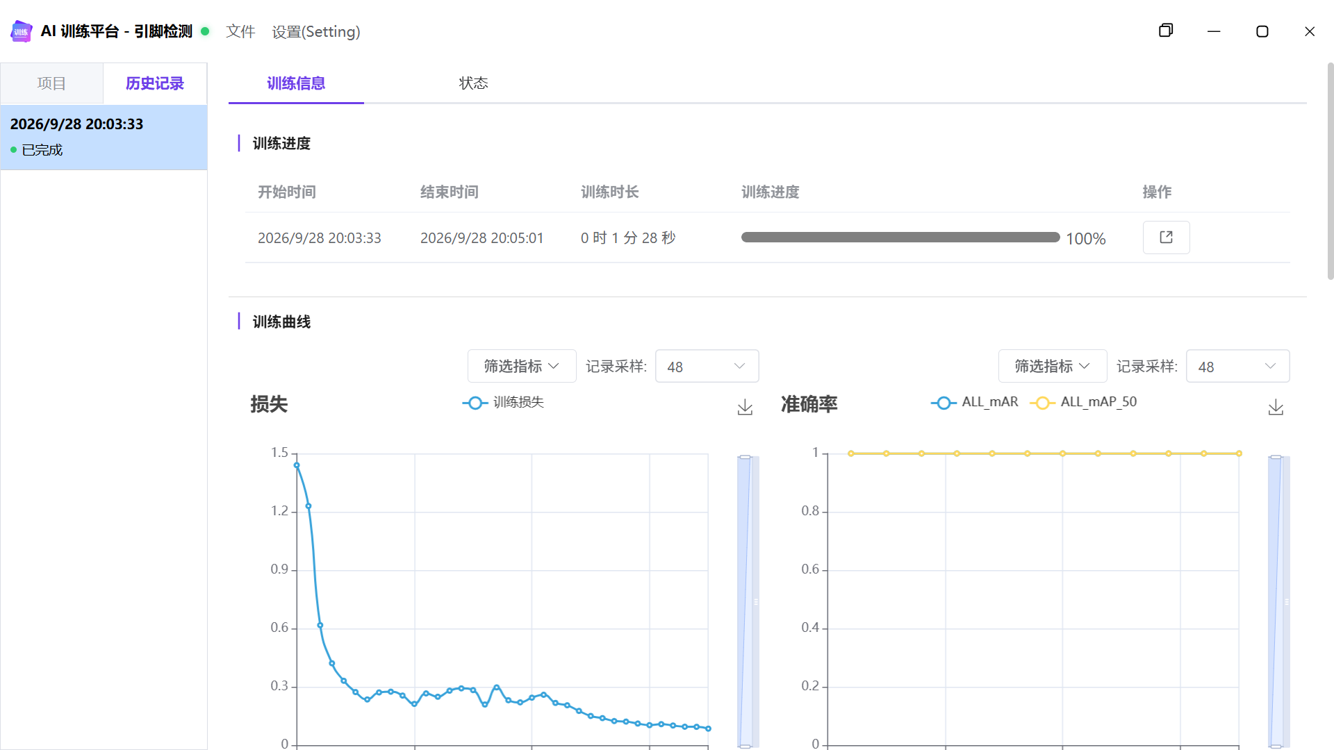 训练历史记录、损失曲线和检测指标